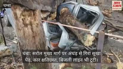 Chamba: Dry tree fell due to storm on Sarol main road, car damaged, power line also broken