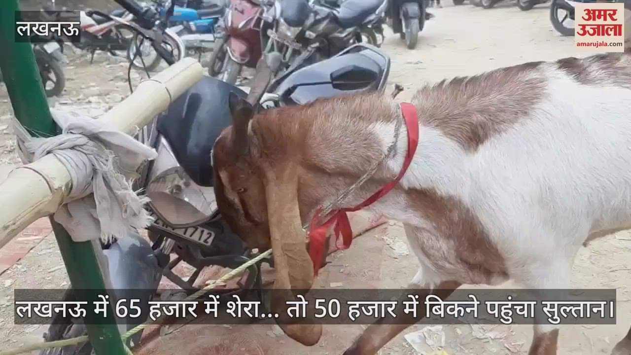 लखनऊ में 65 हजार में शेरा... तो 50 हजार में बिकने पहुंचा सुल्तान