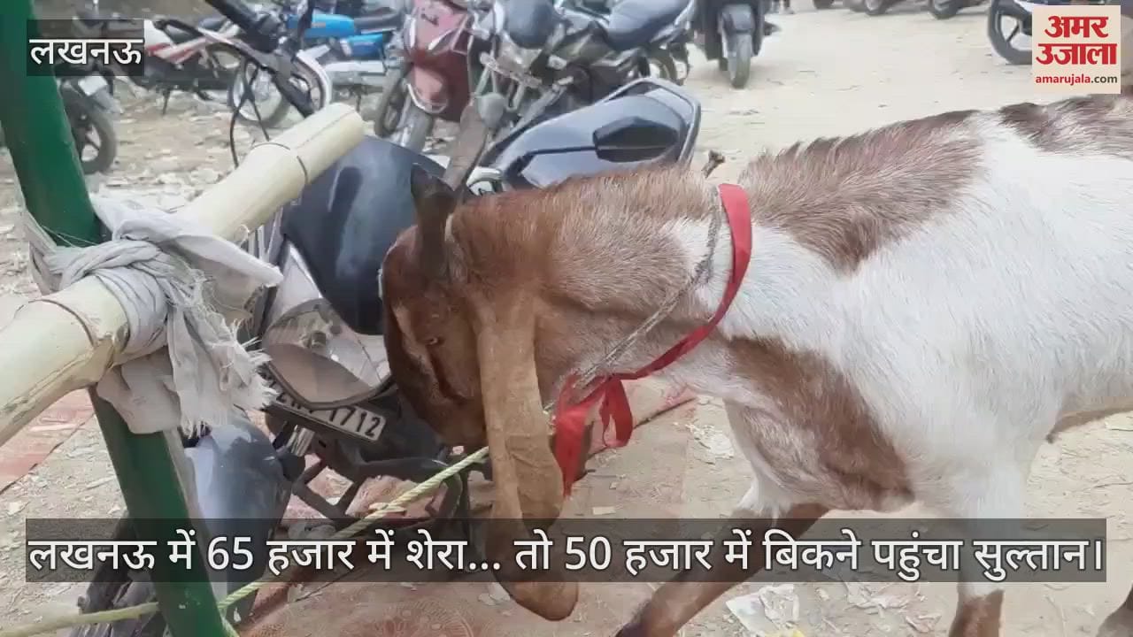 लखनऊ में 65 हजार में शेरा... तो 50 हजार में बिकने पहुंचा सुल्तान