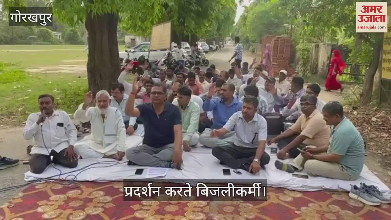 Electricity workers expressed their displeasure against privatization