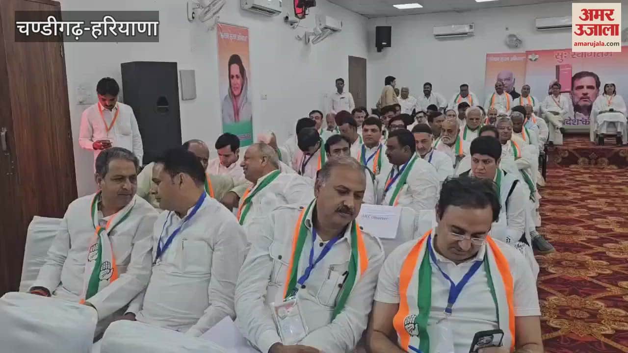 Haryana Congress leaders appointed for the survey reached to meet Rahul Gandhi