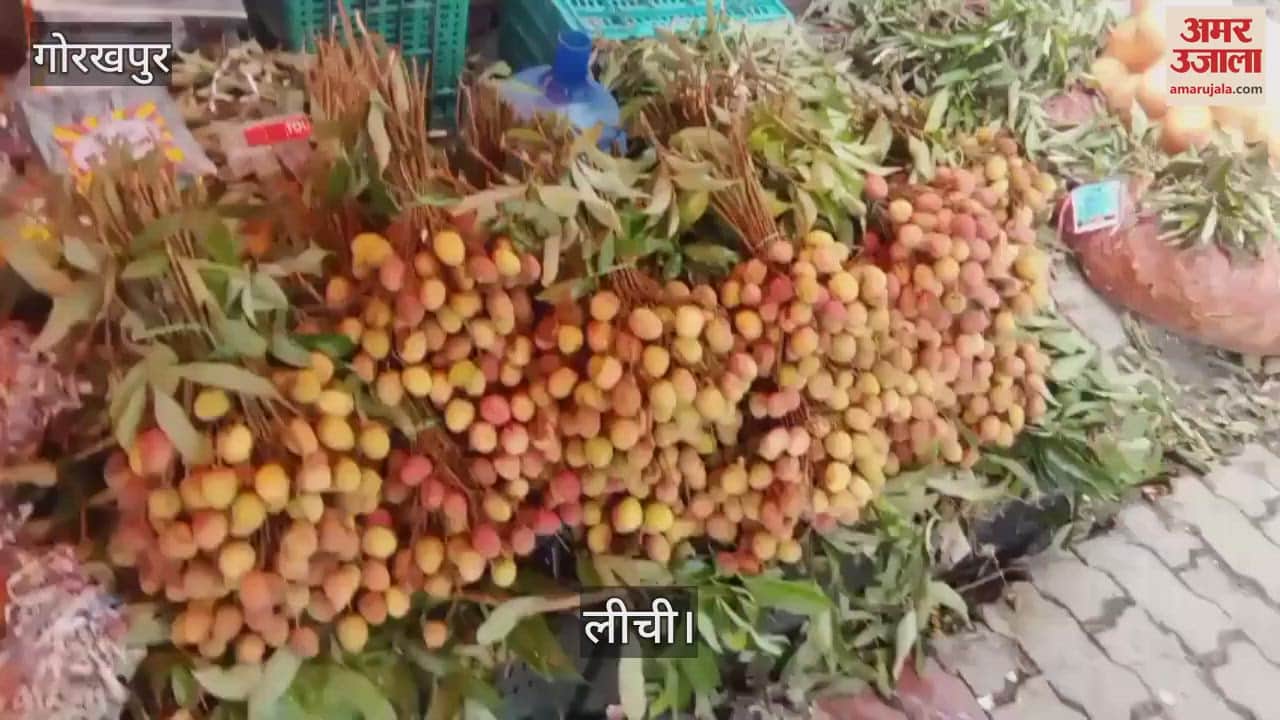 Litchi started selling in the city markets