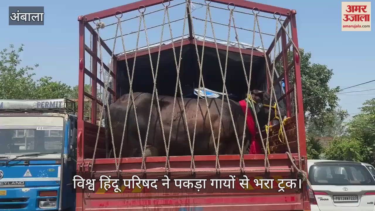 Vishwa Hindu Parishad caught a truck full of cows
