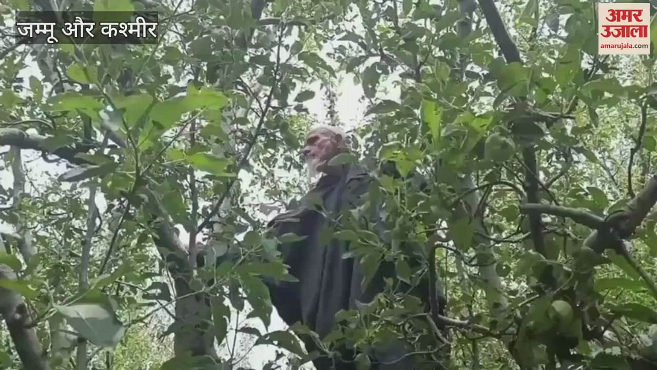 Massive Hailstorm Devastates Apple Crop in Shopian: Minister Visits, Locals Demand Relief