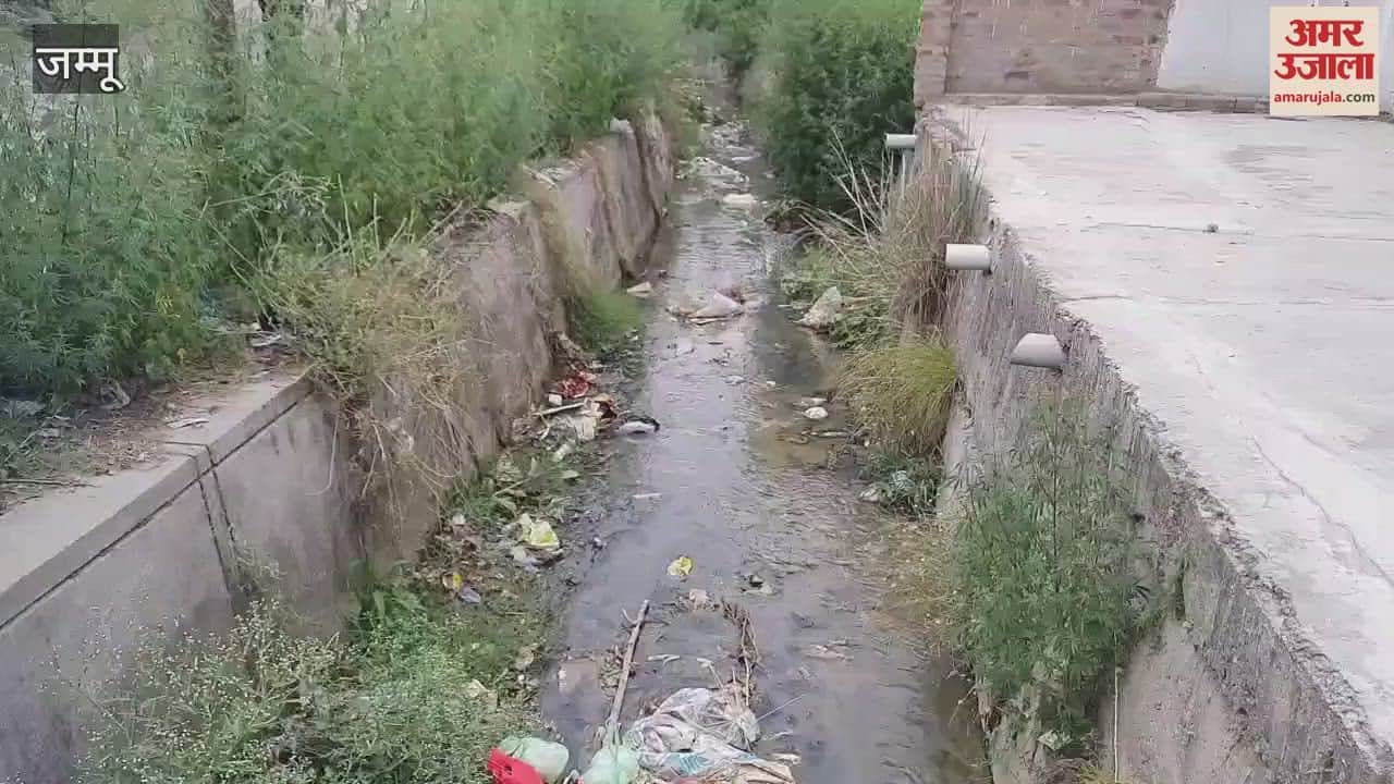 Due to the lack of cleaning of drains in Ward 11 of Samba, the problems of the people increased