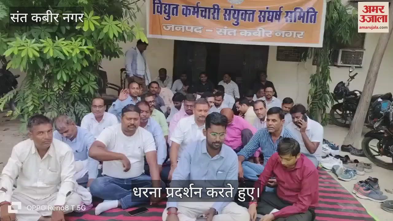 Electricity workers demonstrated along with farmers' organizations