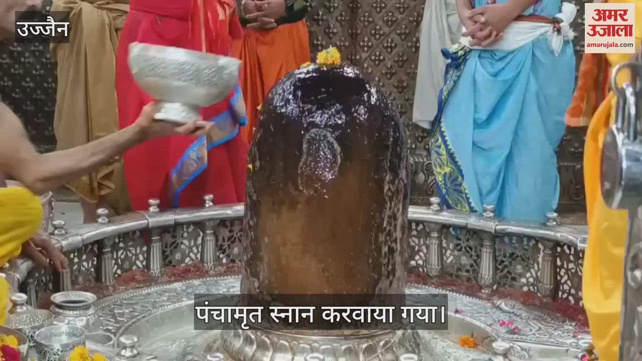 Ujjain News: Baba Mahakal Adorned with Bhang after Panchamrit Ritual during Bhasma Aarti