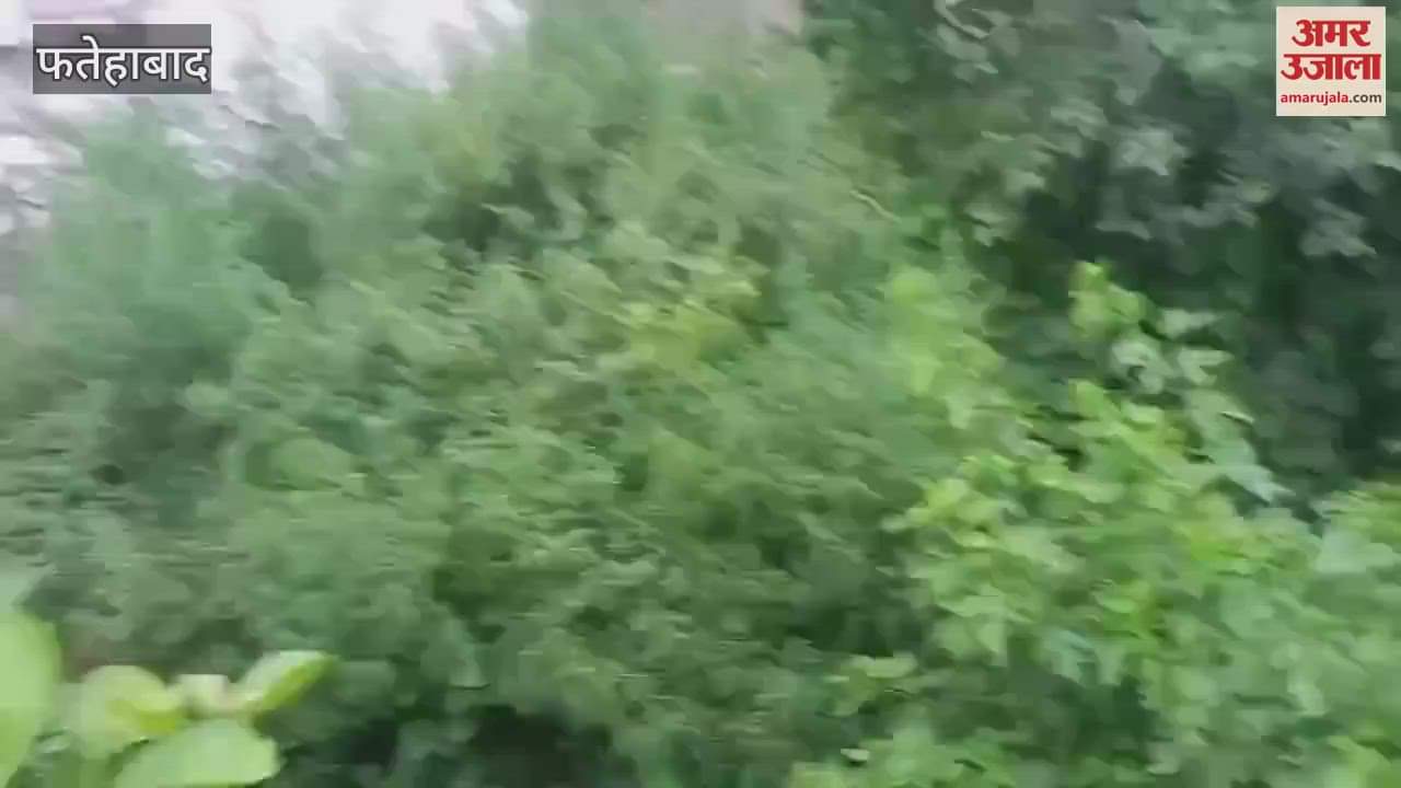 bitch and her puppies trapped in a historic well in Tohana, Fatehabad were rescued, demand for protection raised