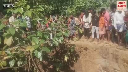 Elephant cub fell into dry well in Raigarh