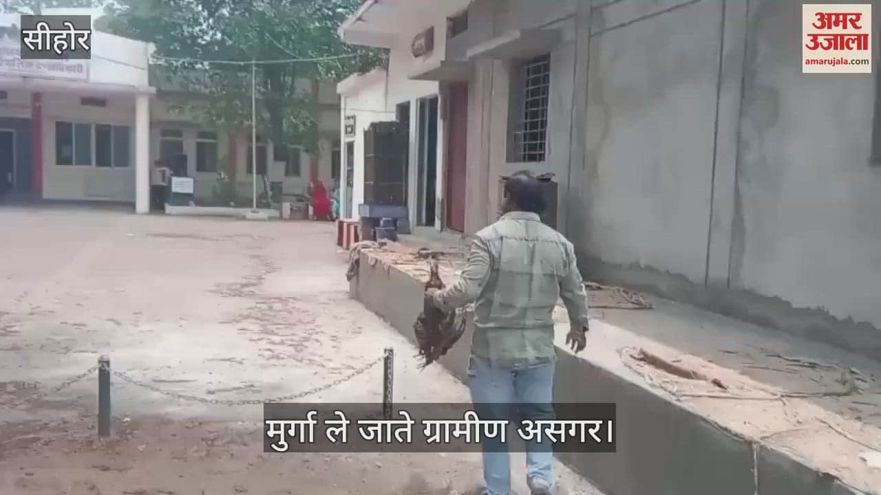 Sehore news: When a villager reached the tehsil office with a dead chicken, you will be surprised to know