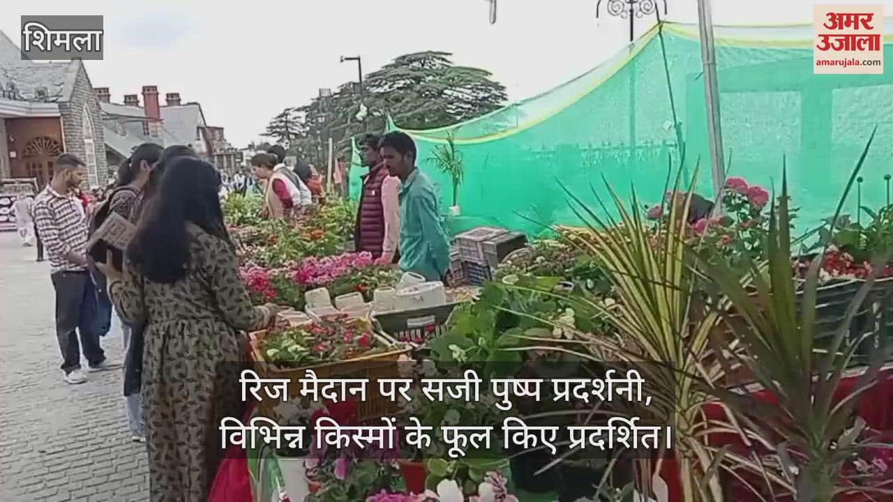 Flower exhibition organized at Ridge ground, flowers of different varieties are being displayed