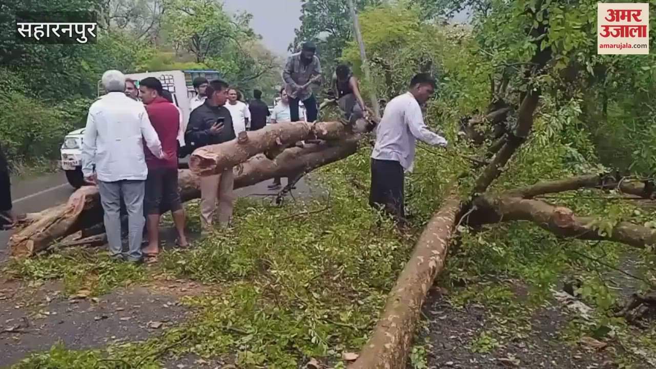 A tree fell in a strong storm in Saharanpur, a 6 km long jam on the highway, traffic was affected