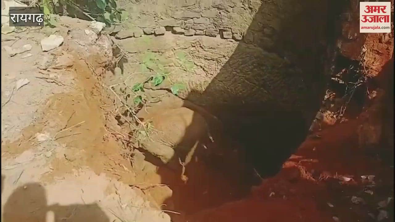 Forest department rescued the elephant cub that fell into a well in Raigarh