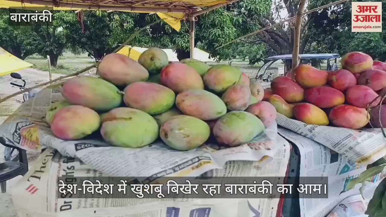VIDEO: Barabanki: देश की सरहद पार कर चुकी है याकूती, हुस्नआरा व गुलाबखास आम की सुगंध, देखें एक रिपोर्ट