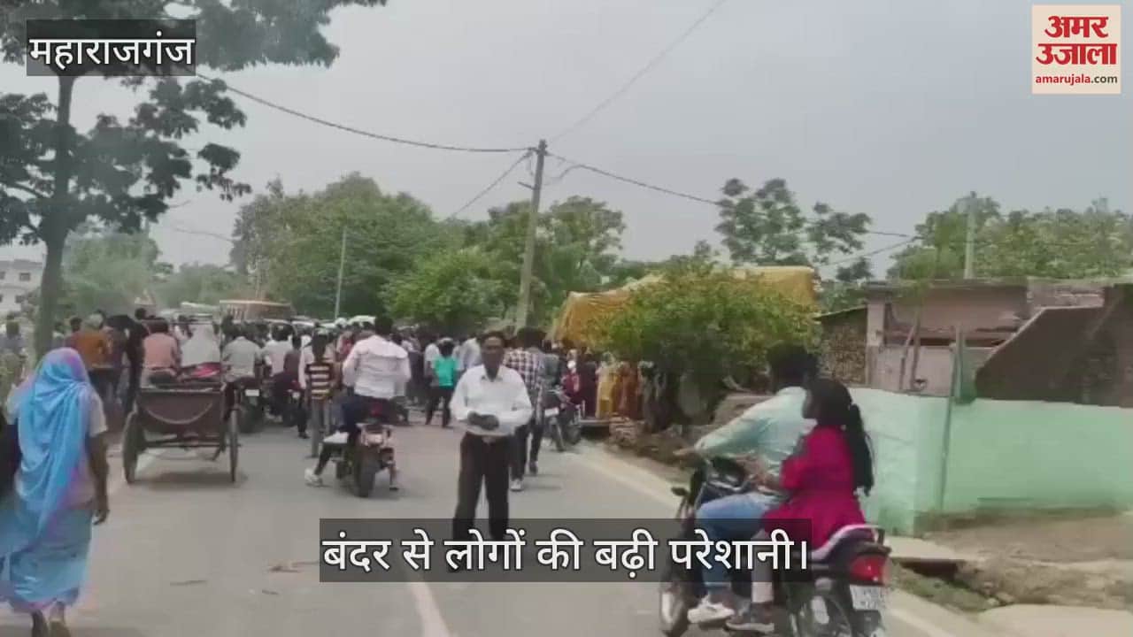 झनझनपुर में बंदरों के आतंक से लोगों की बढ़ी परेशानी