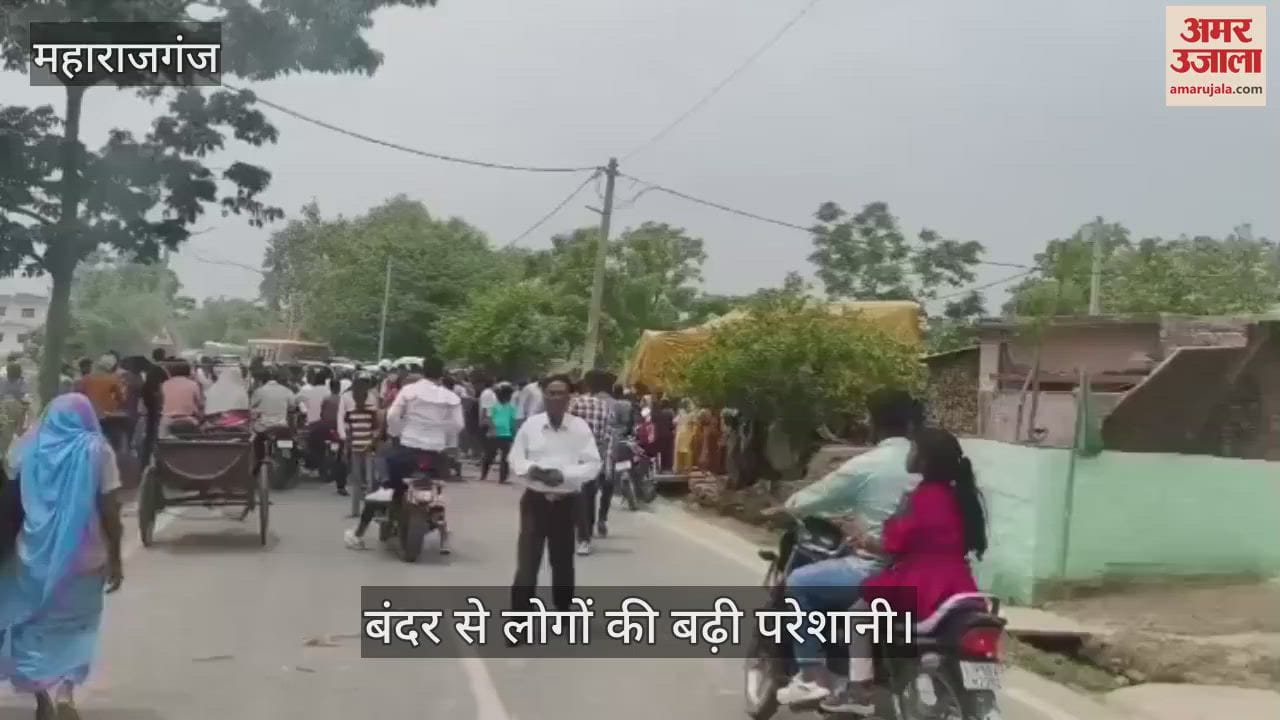 झनझनपुर में बंदरों के आतंक से लोगों की बढ़ी परेशानी