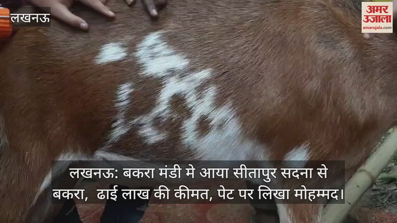 लखनऊ: बकरा मंडी मे आया सीतापुर सदना से बकरा,  ढाई लाख की कीमत, पेट पर लिखा मोहम्मद