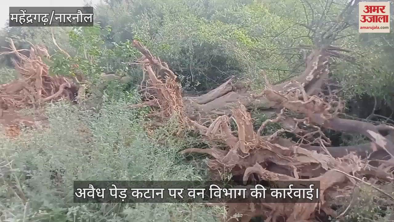 Forest department action on illegal tree cutting