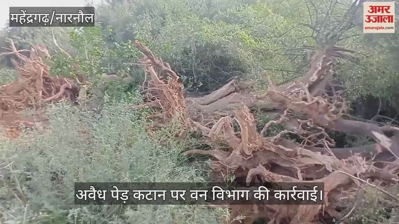 Forest department action on illegal tree cutting