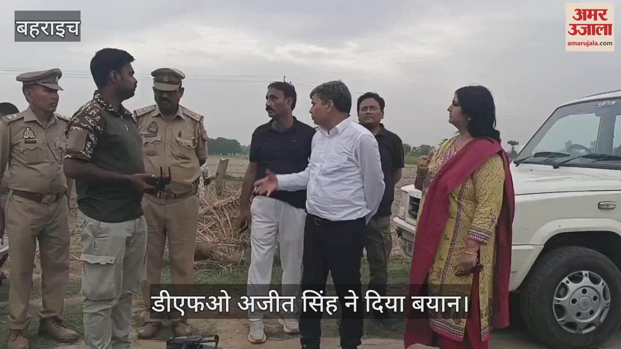 VIDEO: मासूम को उठा ले गया भेड़िया, गन्ने के खेत में बनाया निवाला, गांवों में दहशत का माहौल