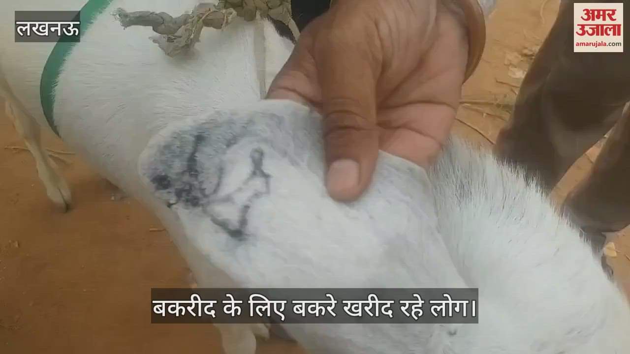 बकरीद: तुर्की नस्ल के "लाला" की कीमत दो लाख रुपये, अजमेरी नस्ल का बकरा पांच लाख रुपये में