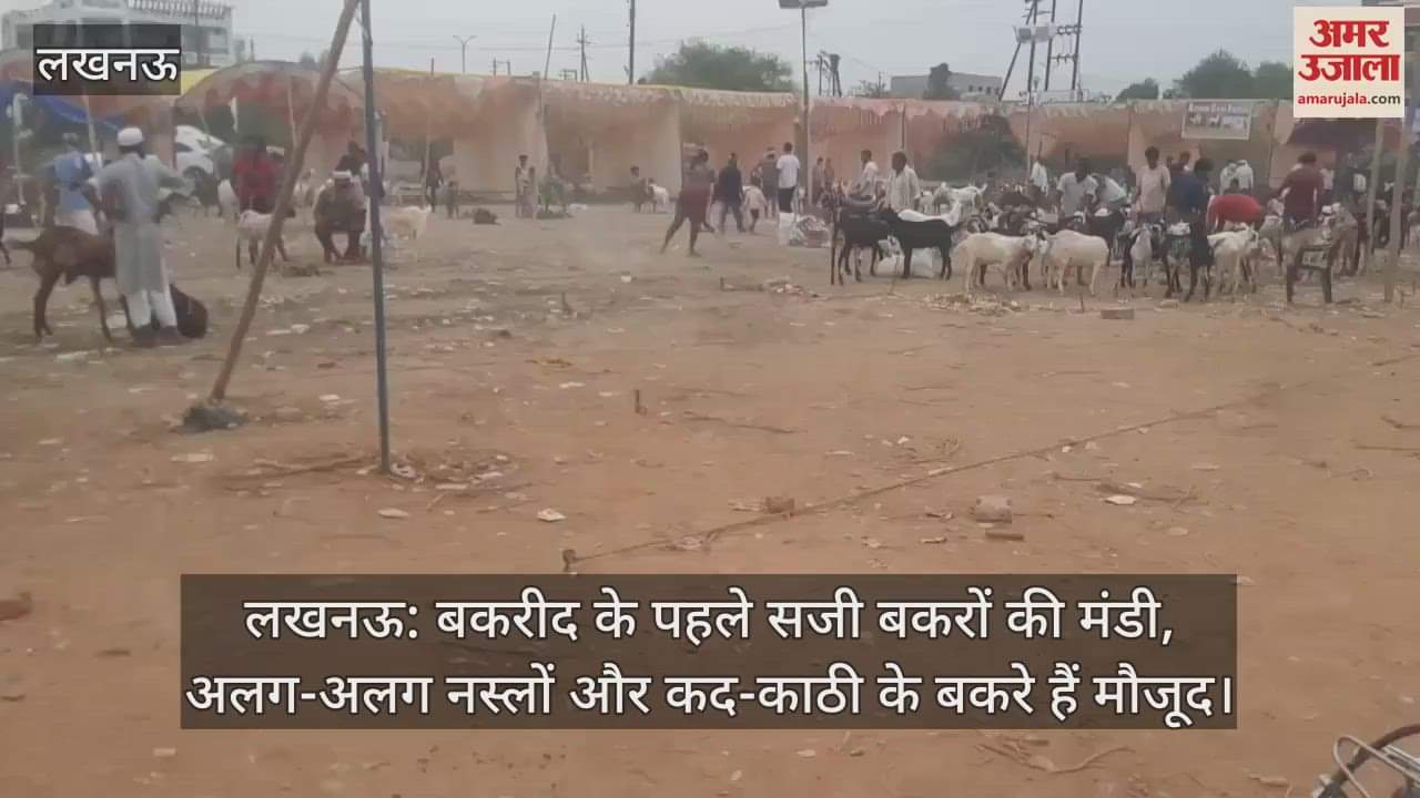 लखनऊ: बकरीद के पहले सजी बकरों की मंडी, अलग-अलग नस्लों और कद-काठी के बकरे हैं मौजूद