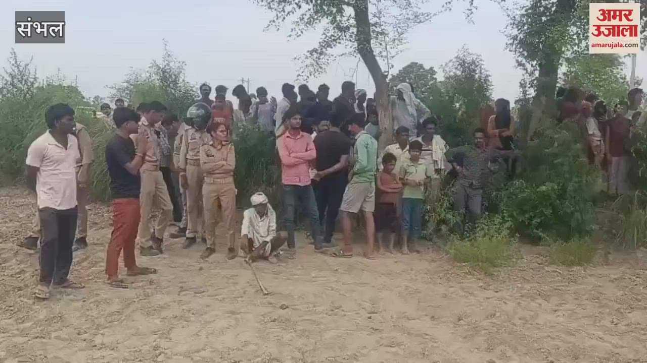 Woman missing for three days found murdered, body found hanging from a thin branch of a sheesham tree