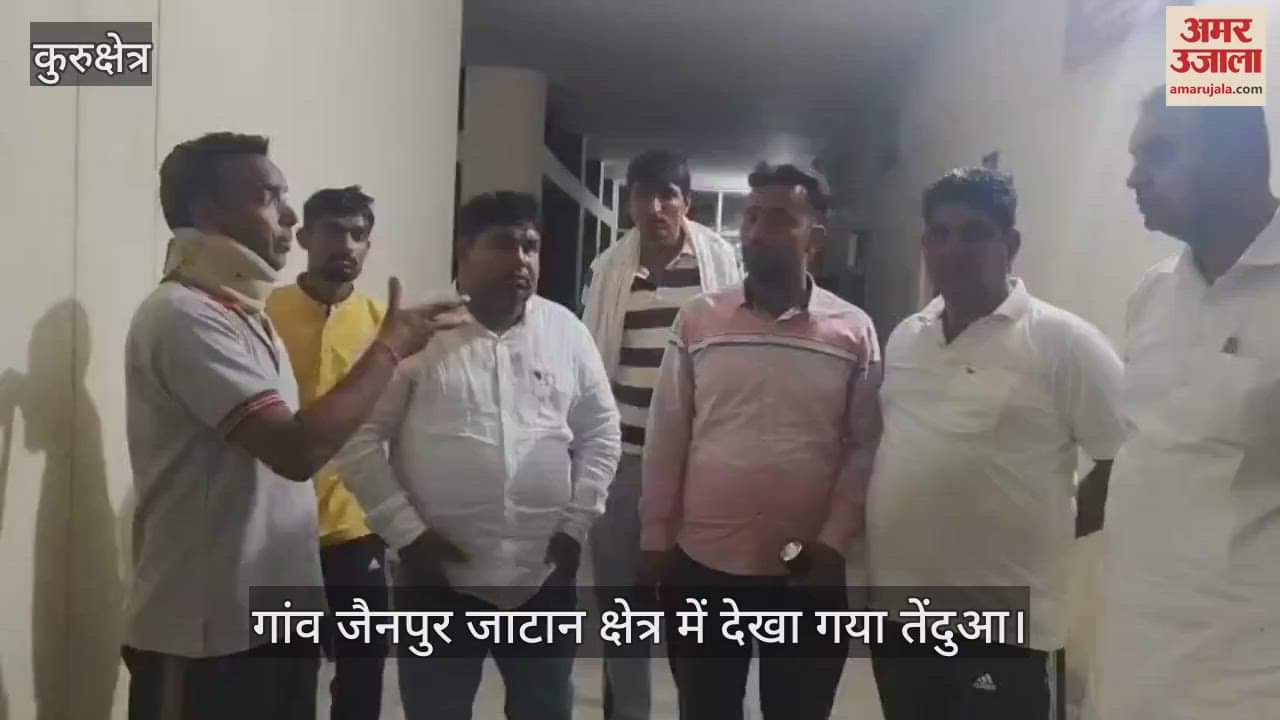 Leopard seen in village Jainpur Jatan area