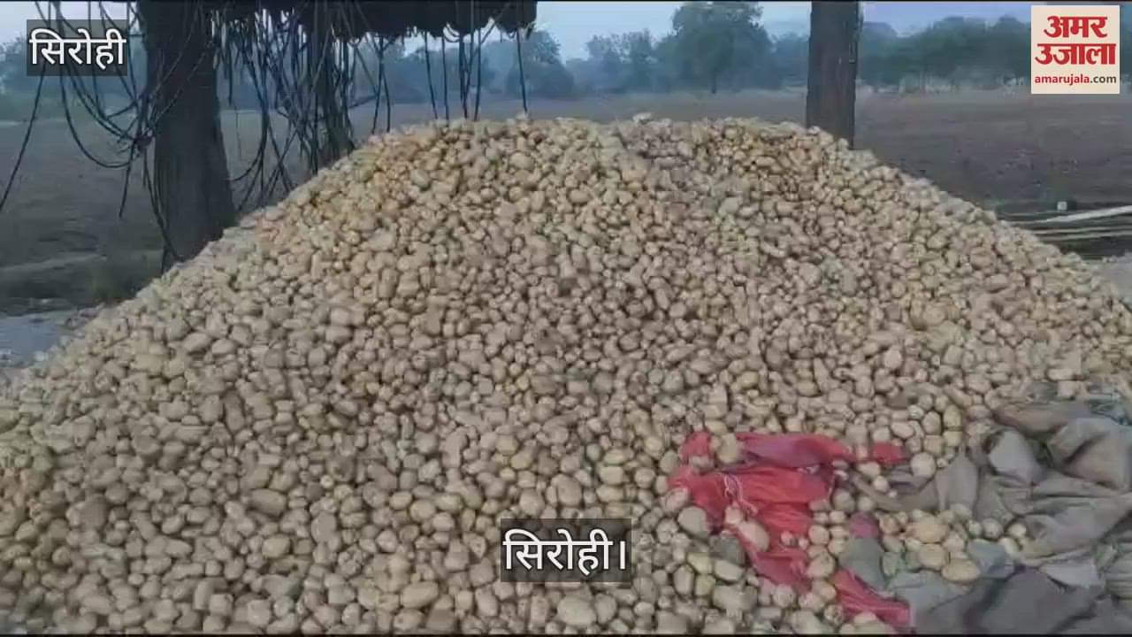 Sirohi News: Vegetables and Fruits Cultivated on Barren Land, Arogyavan Emerges as a Model of Organic Farming