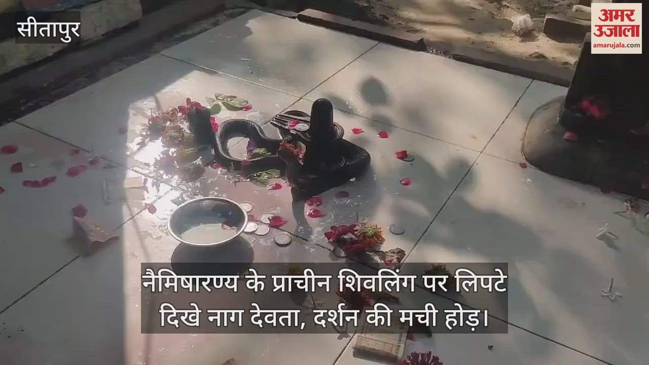 नैमिषारण्य के प्राचीन शिवलिंग पर लिपटे दिखे नाग देवता, दर्शन की मची होड़