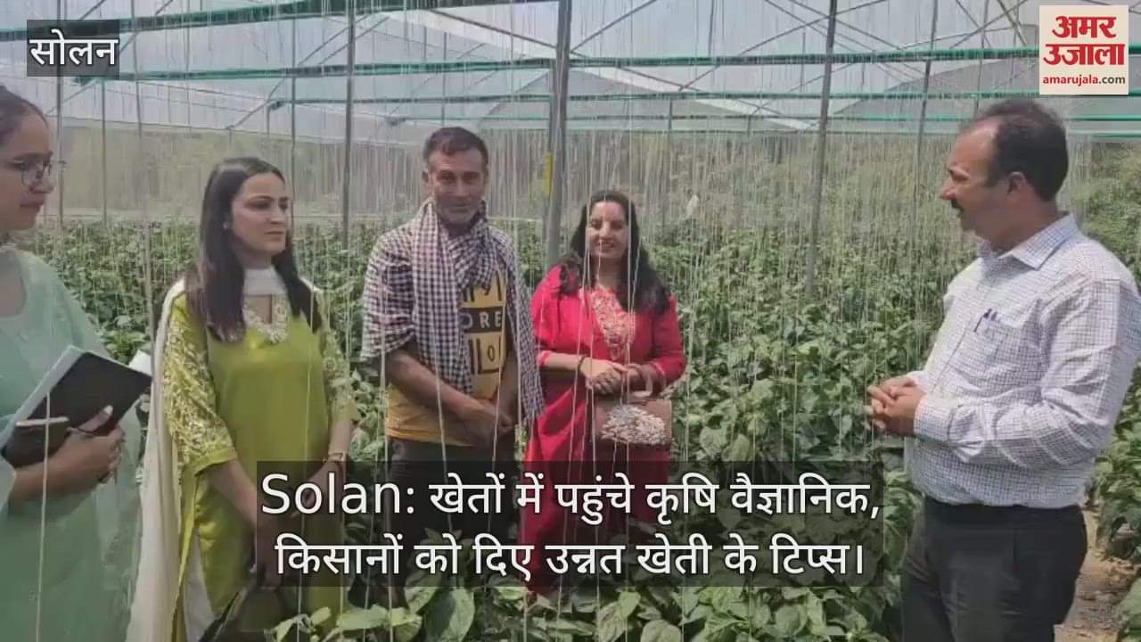 Agricultural scientists reached the fields and gave advanced farming tips to the farmers