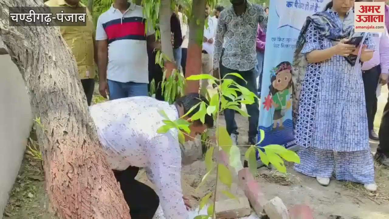 Environment day celebrated in Ferozepur Railway Division