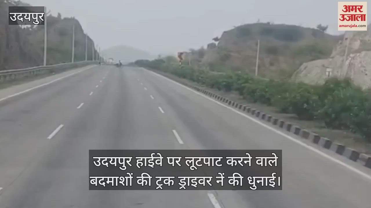 Truck Drivers Thrash Robbers on Udaipur Bypass, Video Goes Viral