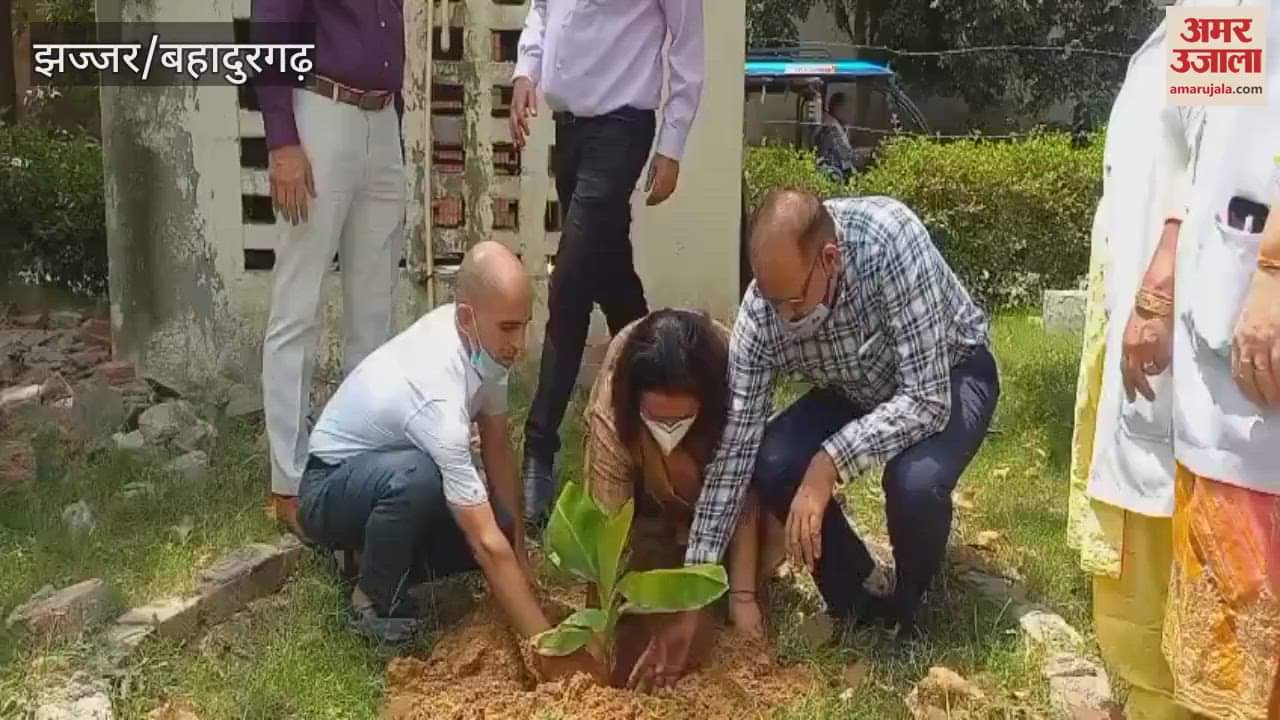 Civil surgeon planted saplings in the hospital in Jhajjar