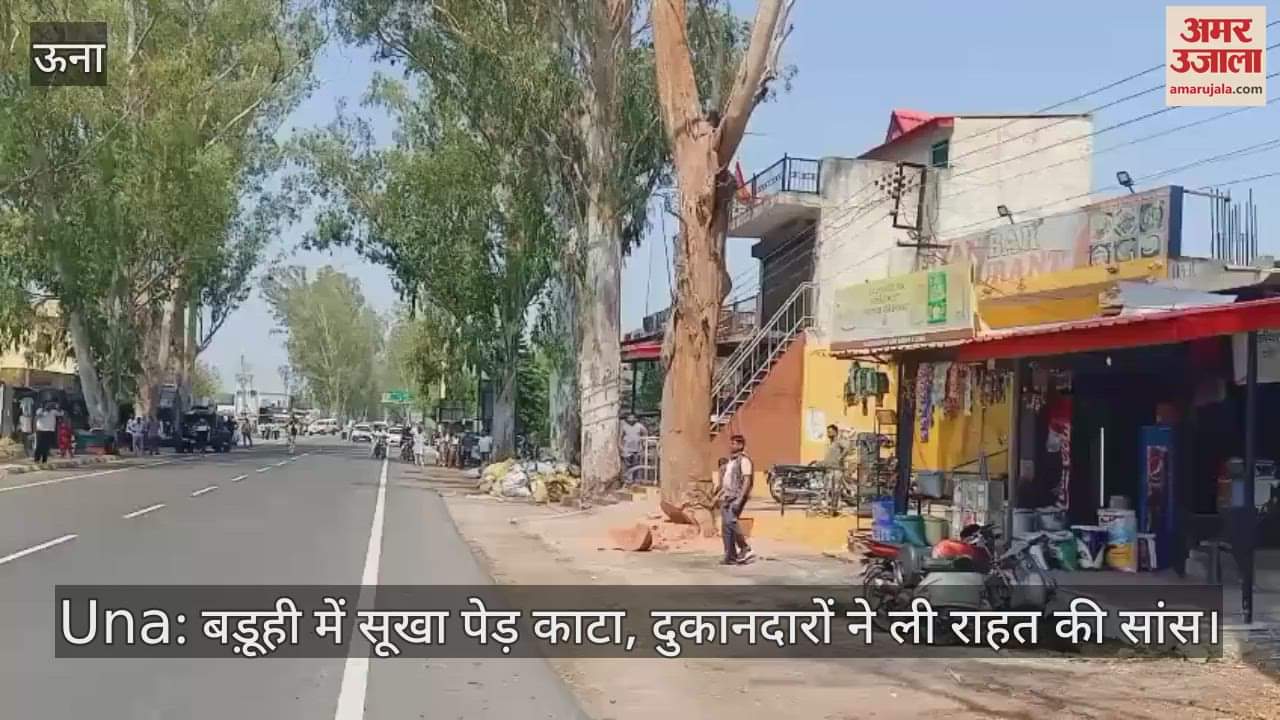 Dry tree cut in Baruhi, shopkeepers heaved a sigh of relief