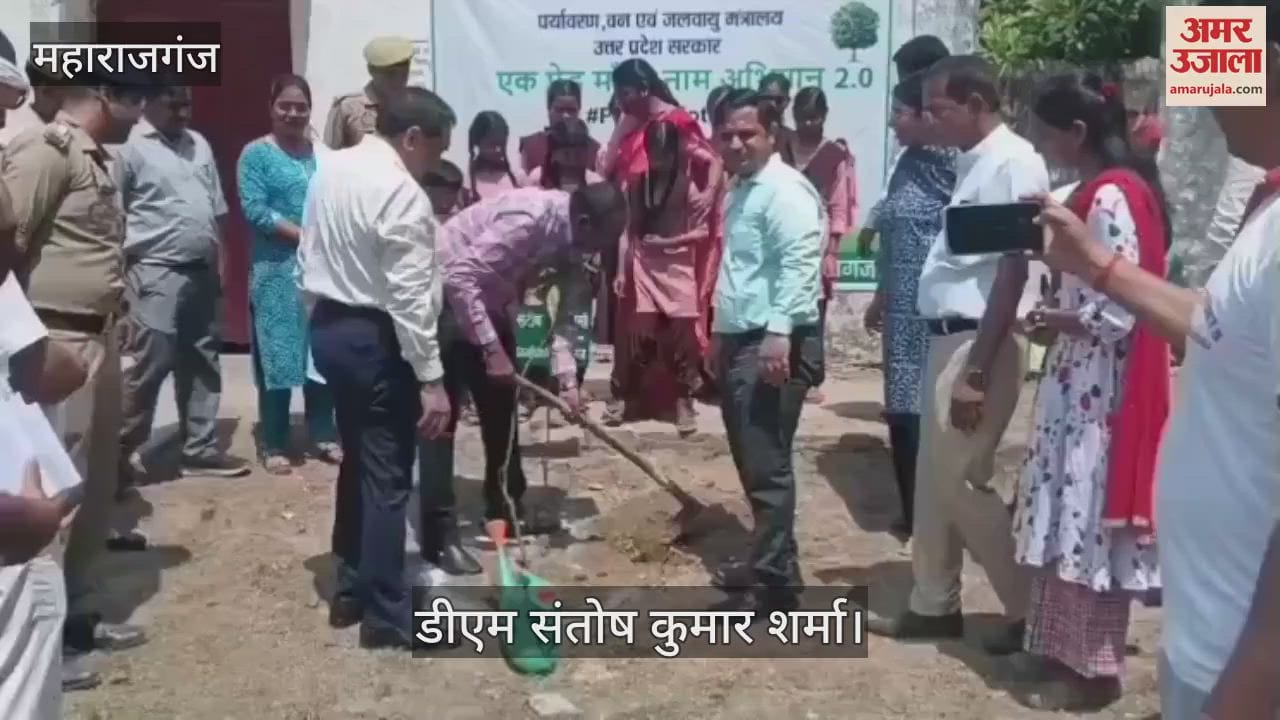 DM planted trees on World Environment Day