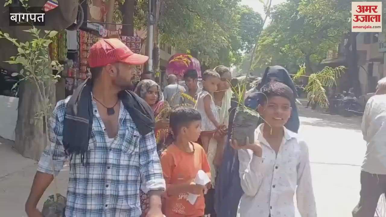 On Environment Day, a rally was taken out in Baghpat and free plants were distributed to the people