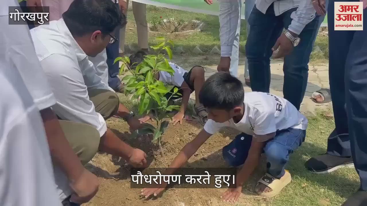 NHAI planted trees under 'Ek Ped Maa Ke Naam' campaign 2.0