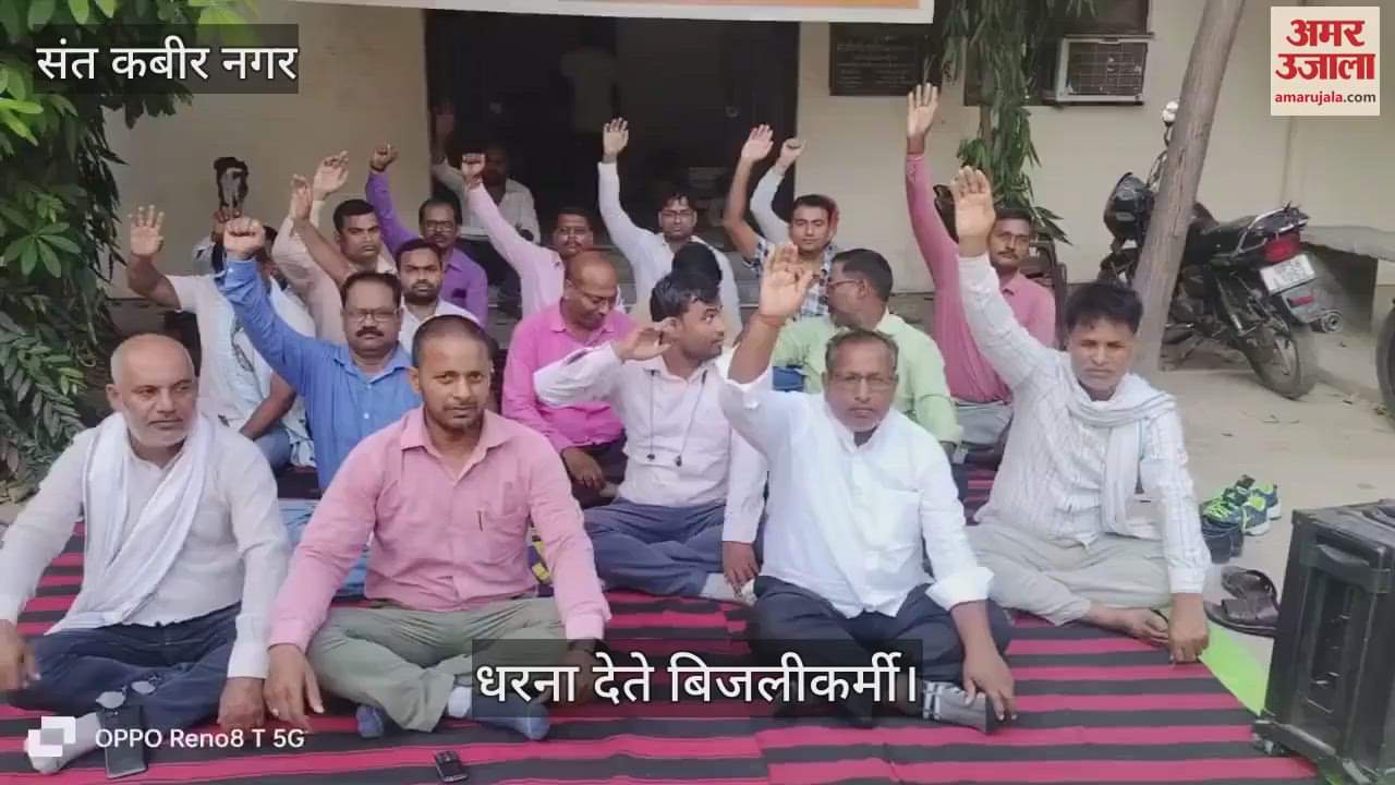 Electricity workers staged a sit-in protest against privatisation