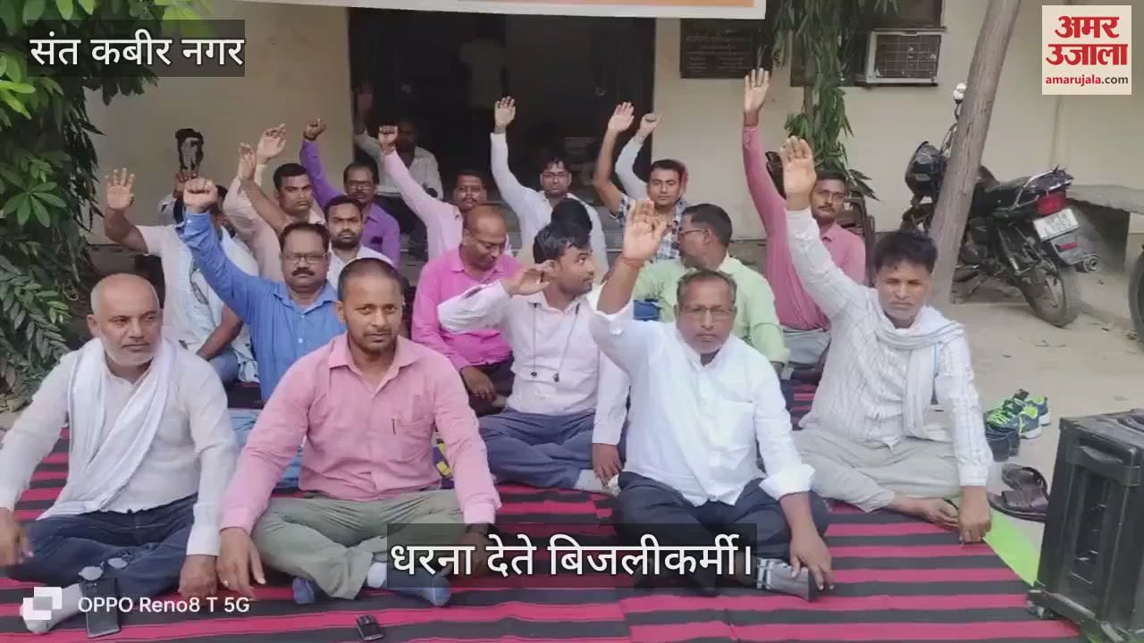 Electricity workers staged a sit-in protest against privatisation