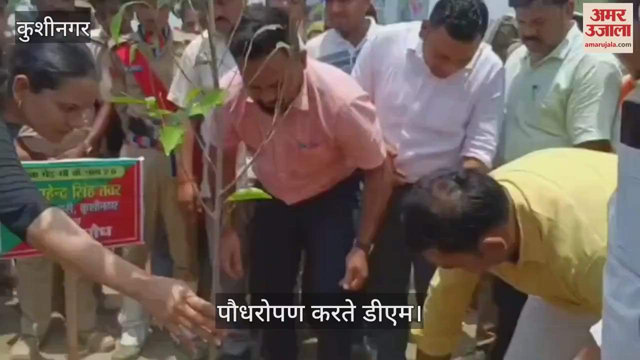 World Environment Day: DM Kushinagar planted a tree