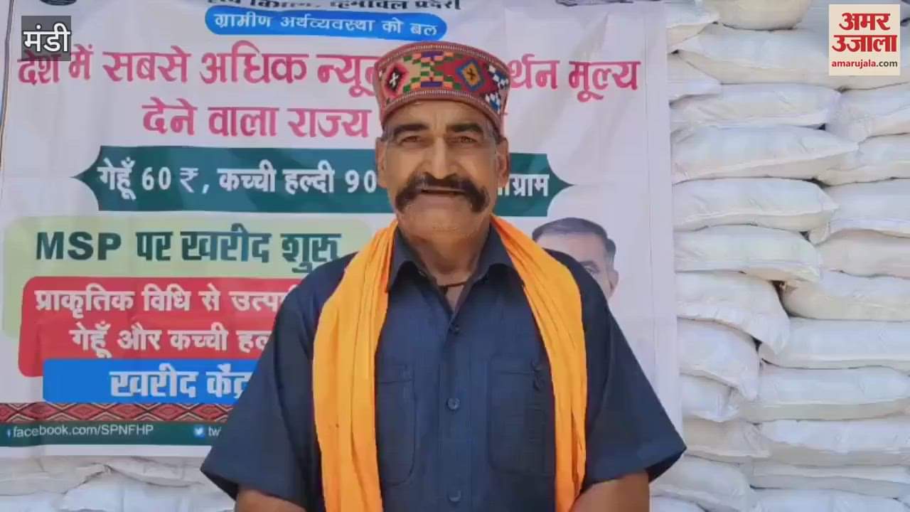 Mandi  28 metric tonnes of wheat purchased in the district mandi in just five days