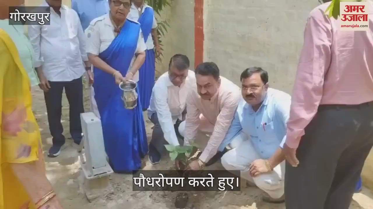 Plantation was done in Ayodhya Das Scout Cottage Complex