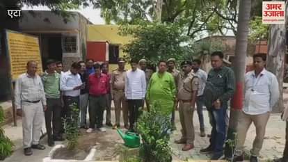 Plant trees on World Environment Day