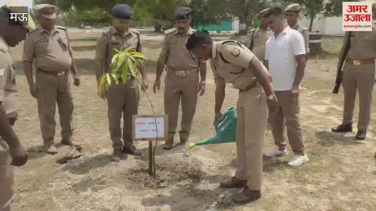 SP launched tree plantation campaign in Mau