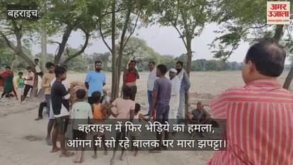 बहराइच में फिर भेड़िये का हमला, आंगन में सो रहे बालक पर मारा झपट्टा; गंभीर रूप से घायल