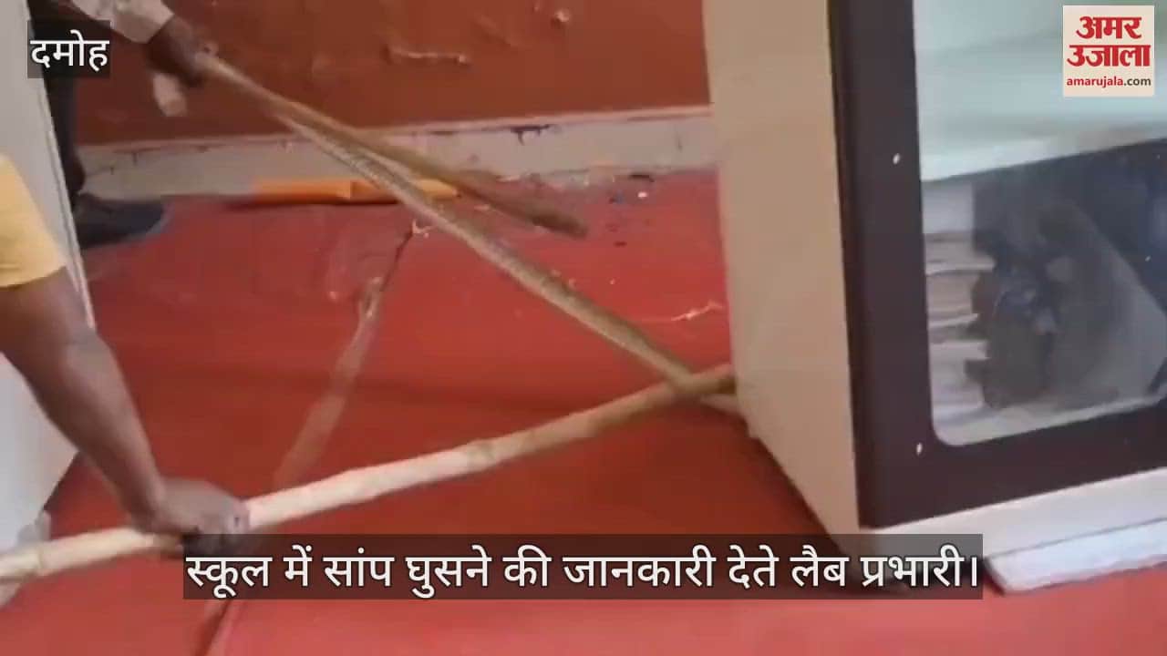 An 8 feet long snake entered the Government Sandipani School
