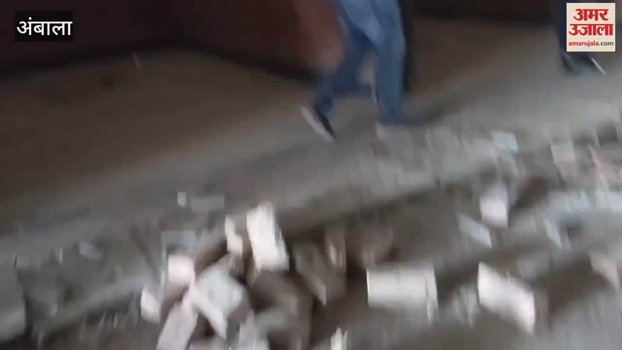 Cabinet Minister Vij inspected the night street food in Ambala and gave instructions to expand the facilities