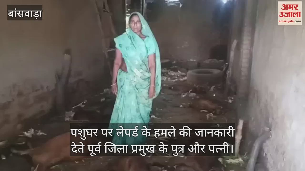 Banswara: Leopard Attacks Cattle Shed Near House, Kills Seven Livestock as Movement Increases Around Village