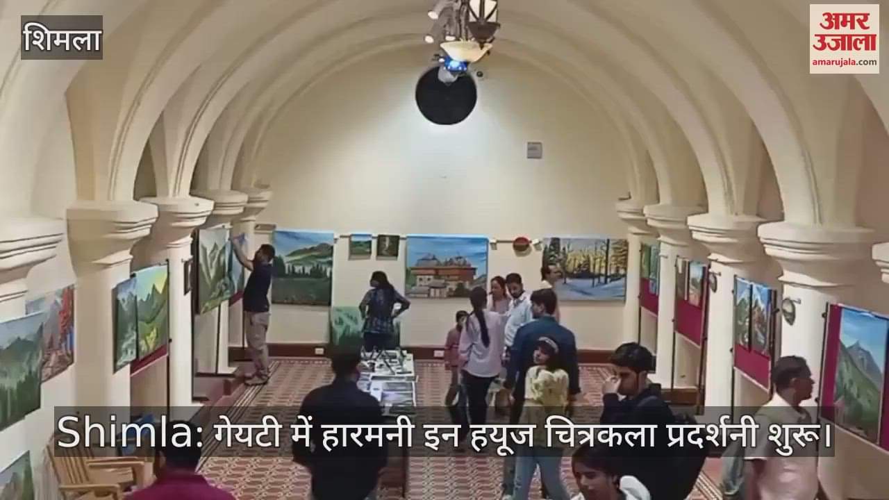 Harmony in Hues painting exhibition opens at Gaiety